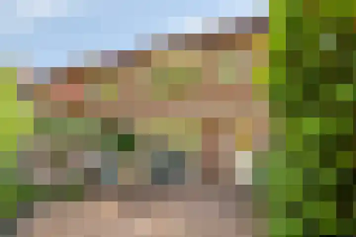 Lancelotpad 22 Amersfoort thumbnail 28