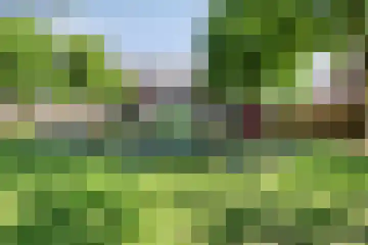Lancelotpad 22 Amersfoort thumbnail 30