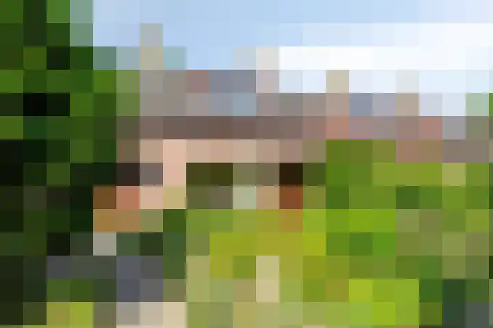 Lancelotpad 22 Amersfoort thumbnail 31