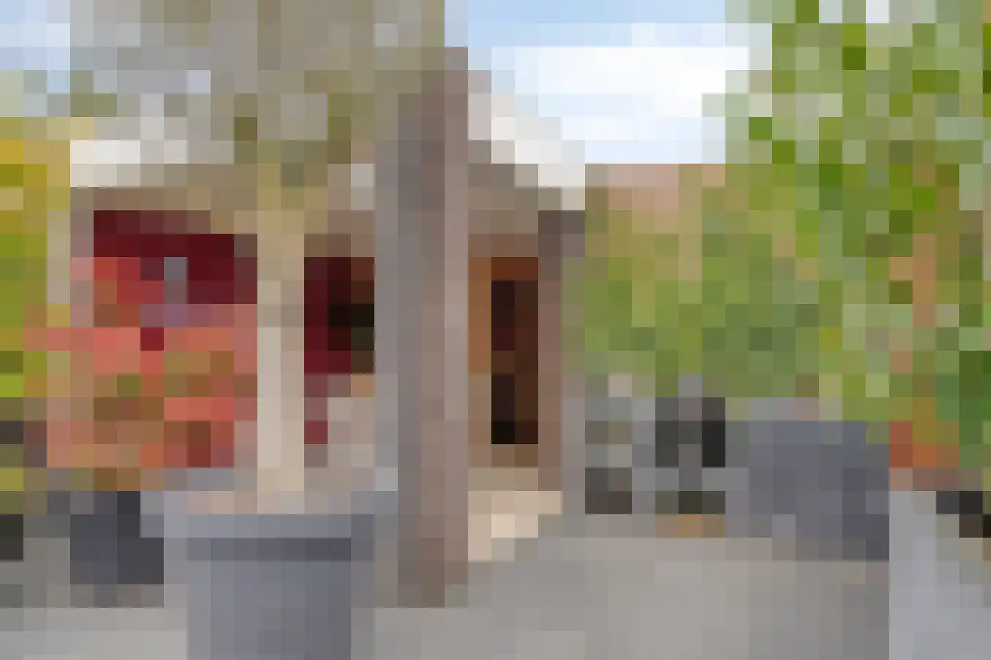 Lanciersstraat 104 Tilburg thumbnail 38