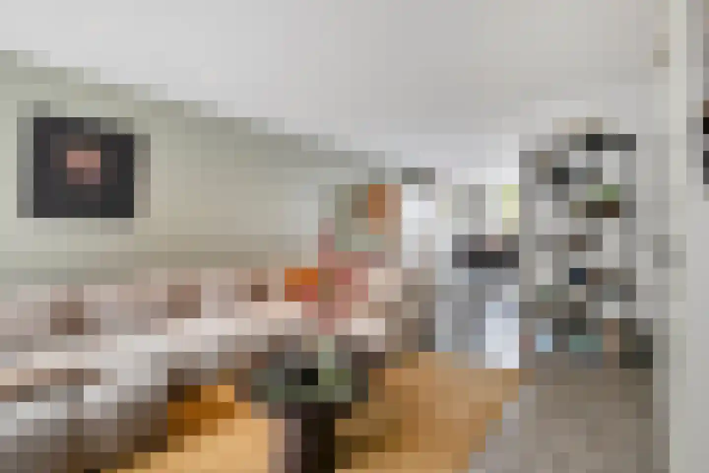 Lanciersstraat 104 Tilburg thumbnail 4