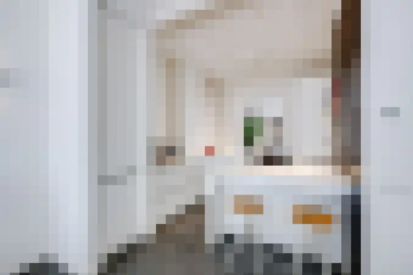 Lanciersstraat 11 Tilburg thumbnail 15