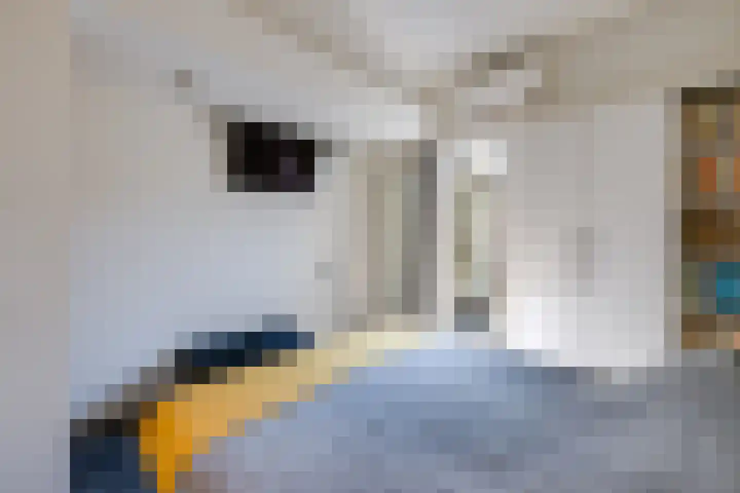 Lanciersstraat 11 Tilburg thumbnail 25