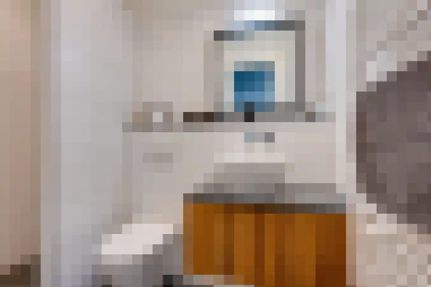 Lanciersstraat 11 Tilburg thumbnail 37