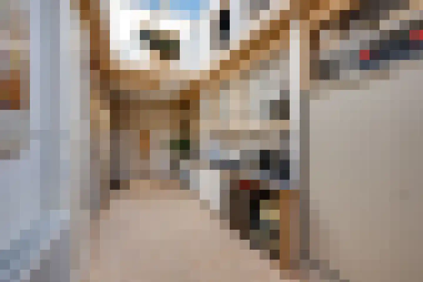 Lanciersstraat 11 Tilburg thumbnail 45