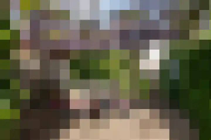 Lanciersstraat 110 Tilburg thumbnail 22
