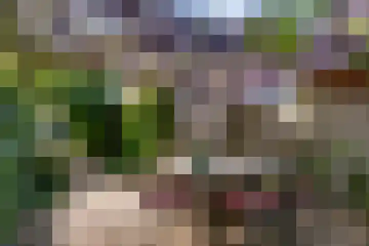 Lanciersstraat 110 Tilburg thumbnail 23