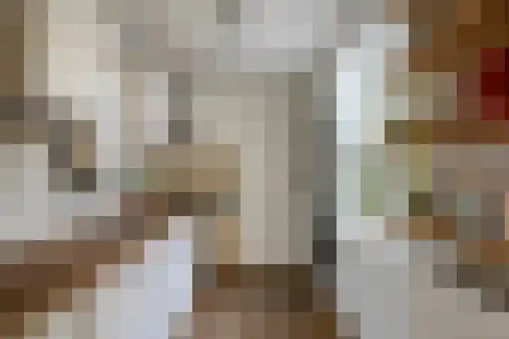 Lanciersstraat 110 Tilburg thumbnail 8