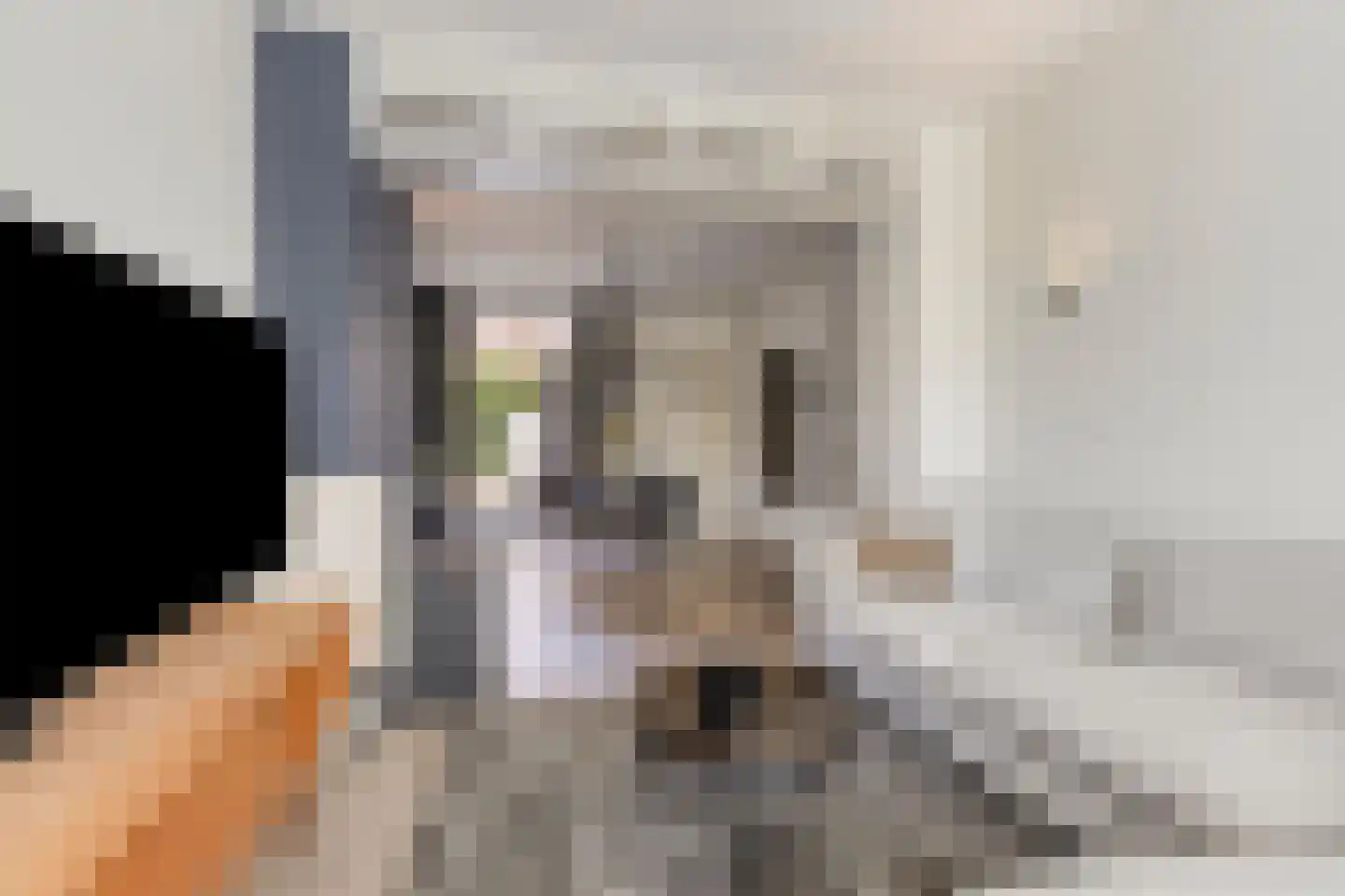 Lanciersstraat 128 Tilburg thumbnail 15