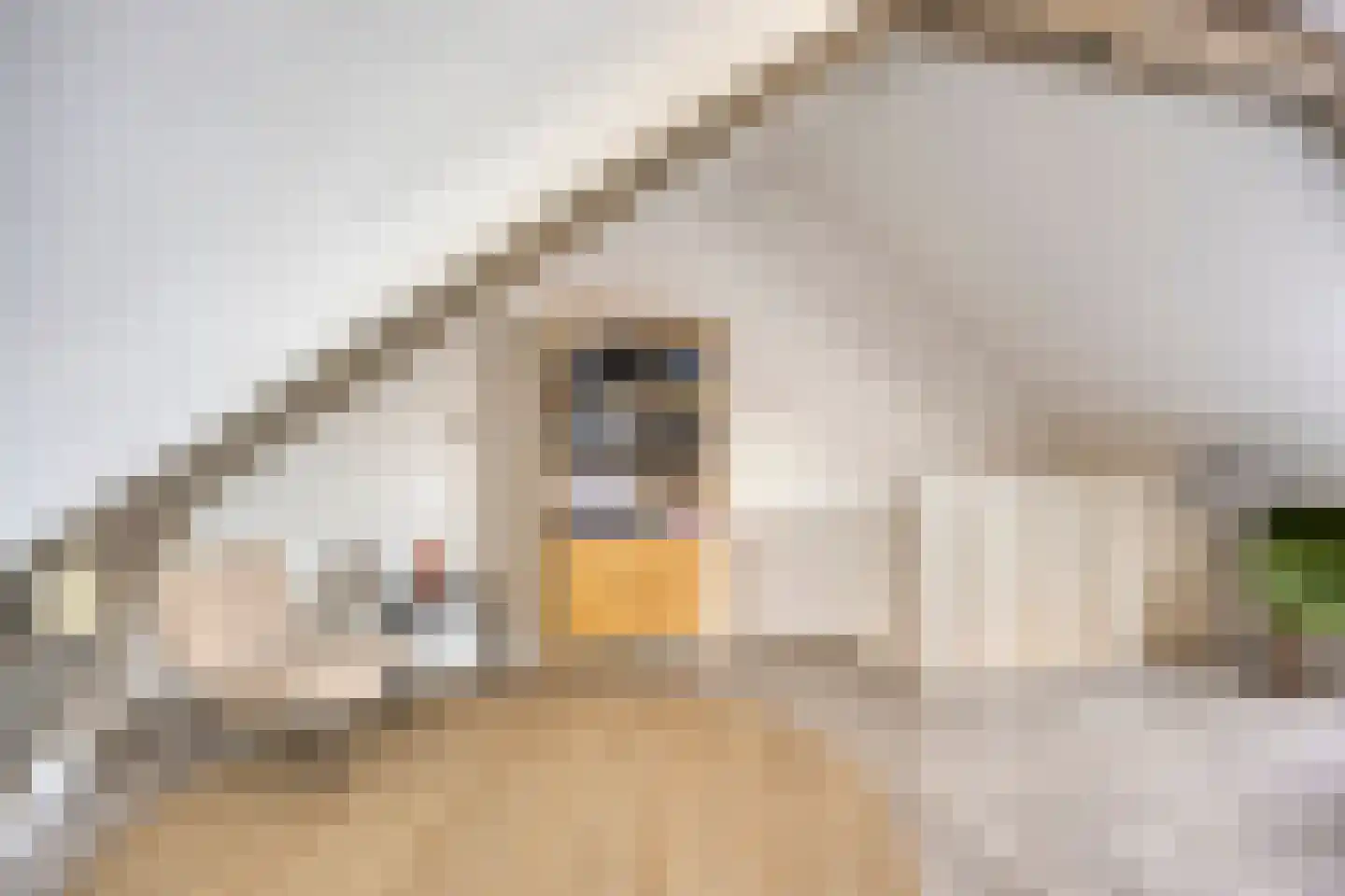 Lanciersstraat 41 b Tilburg thumbnail 35