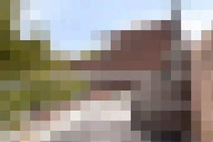 Lanciersstraat 41 e 01 Tilburg thumbnail 13