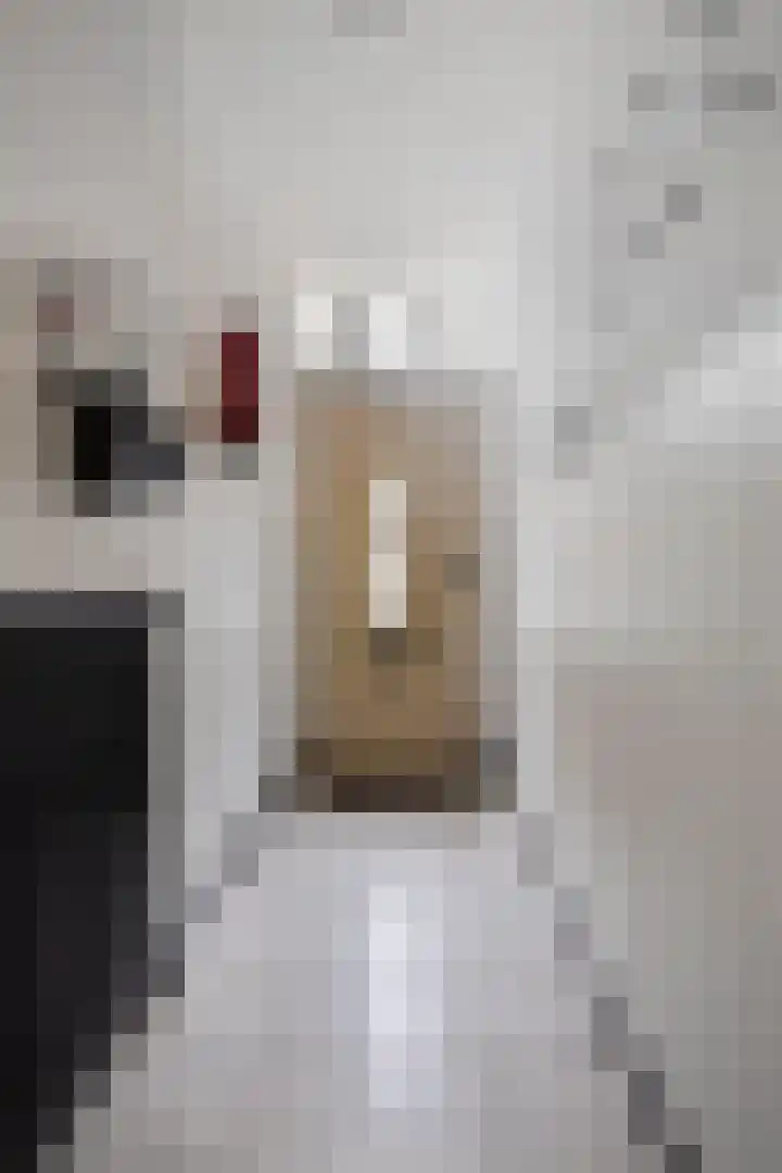 Lanciersstraat 41 e 01 Tilburg thumbnail 17