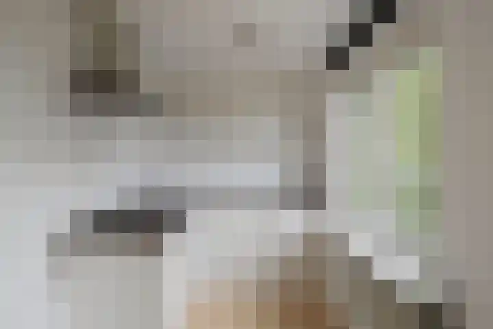 Lanciersstraat 41 e 01 Tilburg thumbnail 8