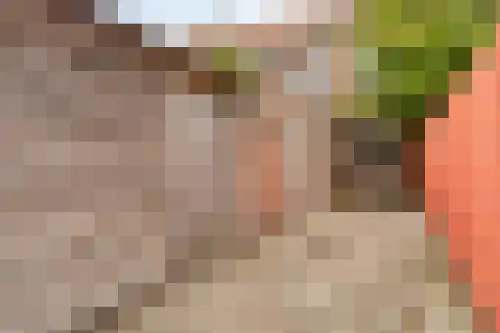 Lanciersstraat 41 e Tilburg thumbnail 16