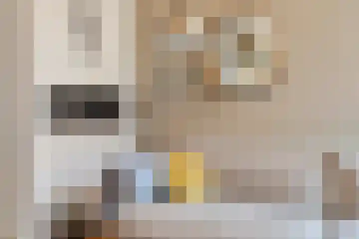 Lanciersstraat 44 Tilburg thumbnail 7
