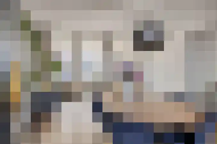 Lanciersstraat 64 Tilburg thumbnail 8