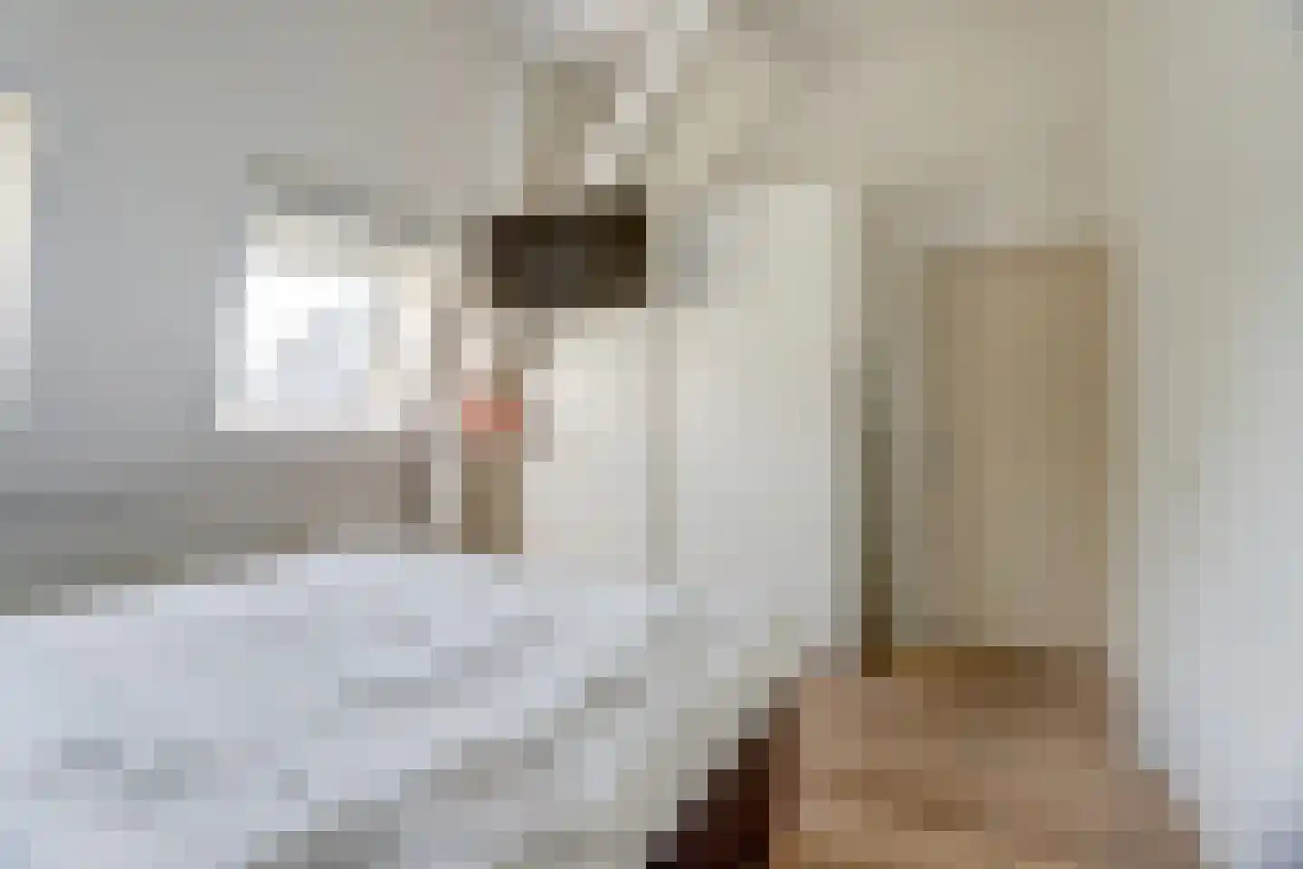 Lanciersstraat 66 Tilburg thumbnail 19