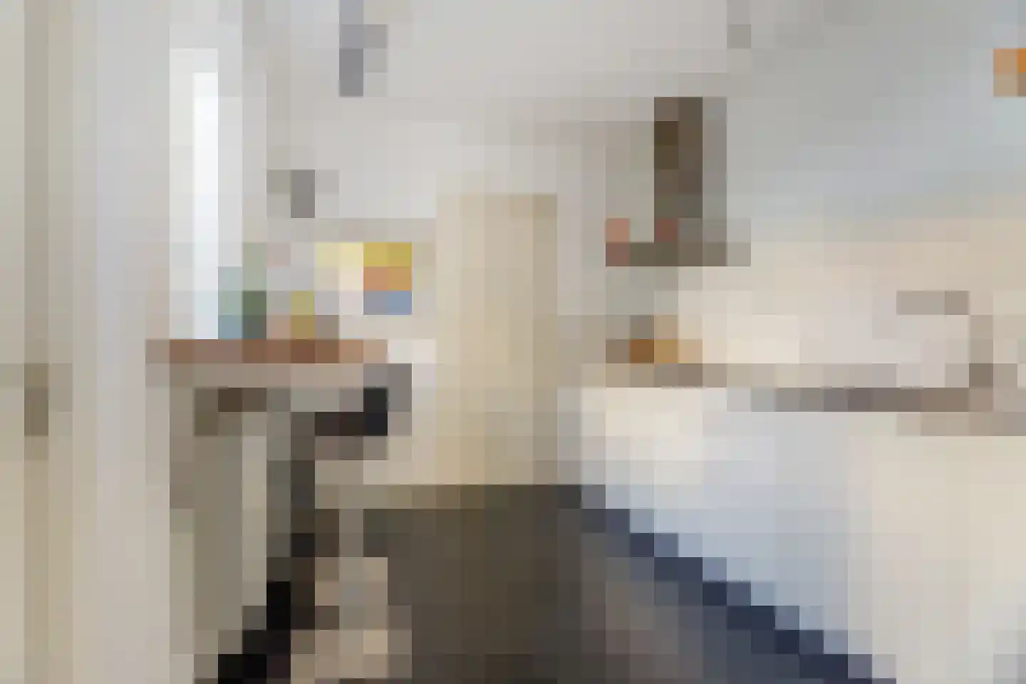 Lanciersstraat 66 Tilburg thumbnail 8