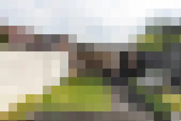 Lanciersstraat 76 a Tilburg thumbnail 5