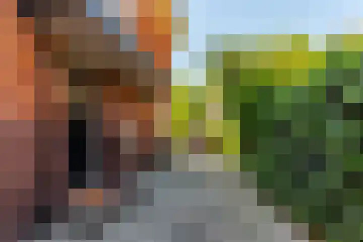 Lanckhorstlaan 28 Heemstede thumbnail 30