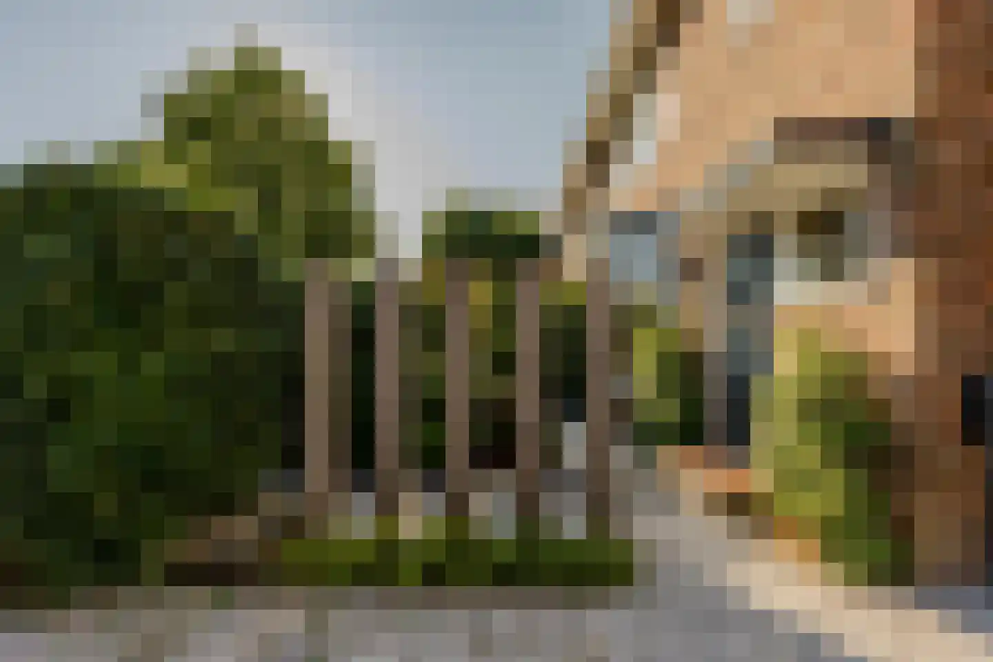 Lanckhorstlaan 63 Heemstede thumbnail 29