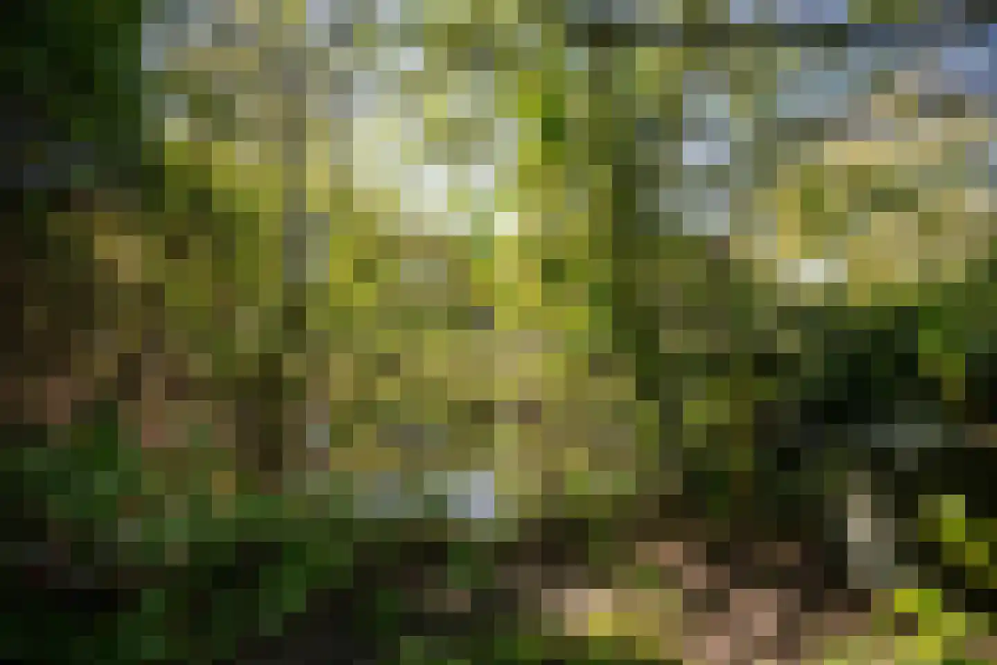 Lanckhorstlaan 73 Heemstede thumbnail 27