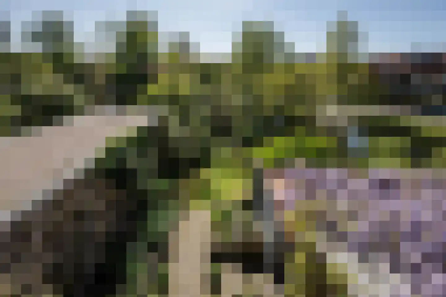 Lanckhorstlaan 73 Heemstede thumbnail 35