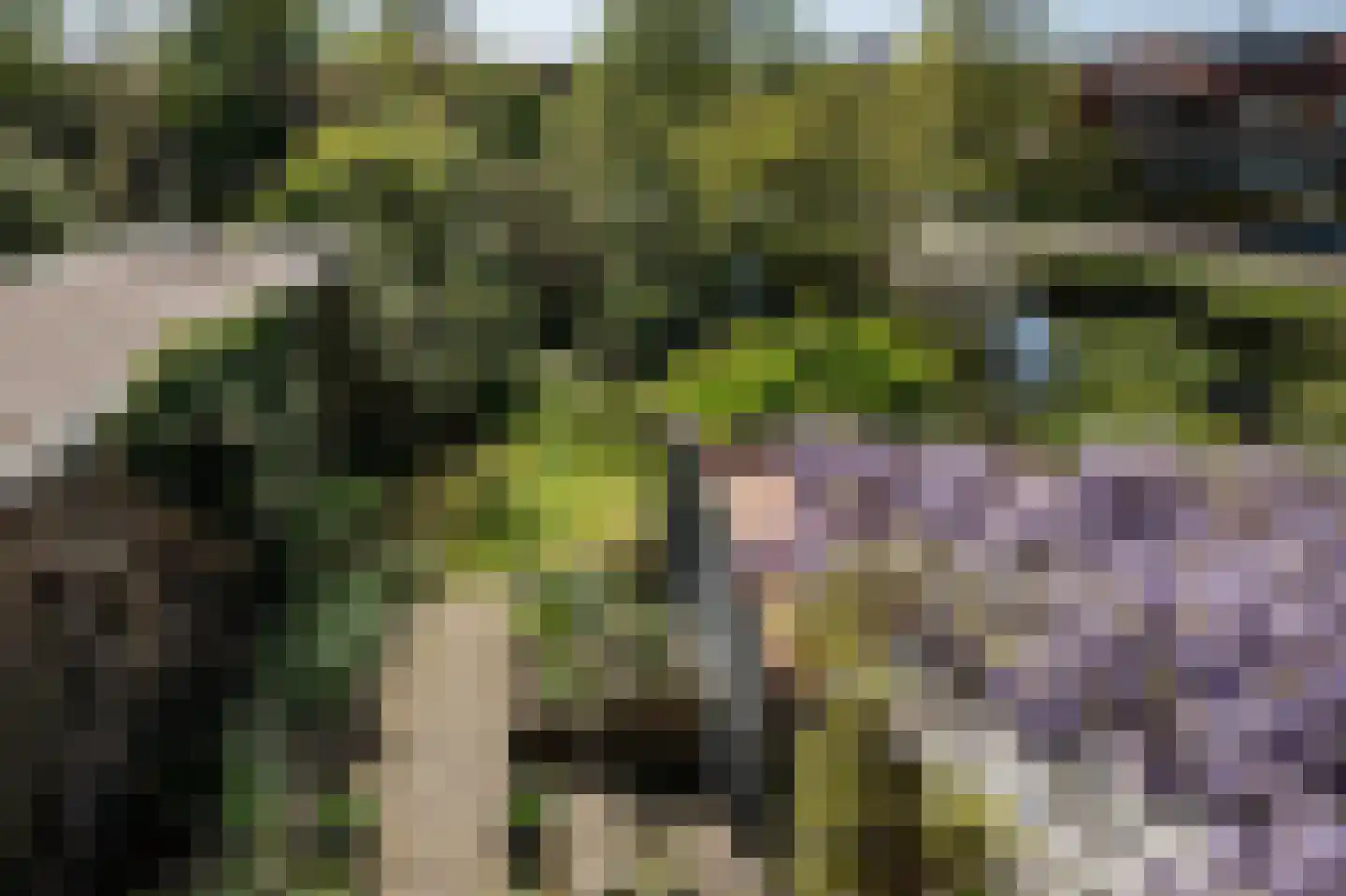 Lanckhorstlaan 73 Heemstede thumbnail 36