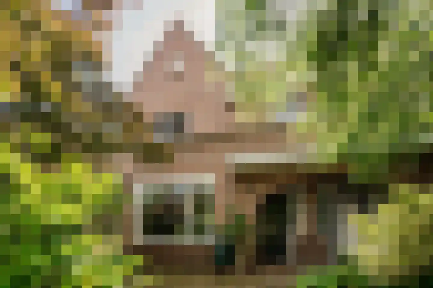 Lanckhorstlaan 73 Heemstede thumbnail 5