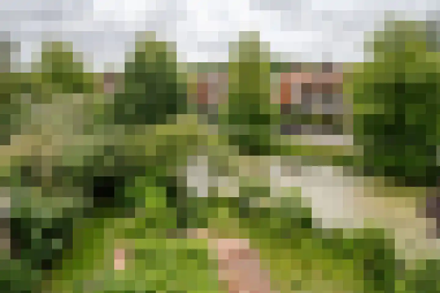 Lanckhorstlaan 73 Heemstede thumbnail 52