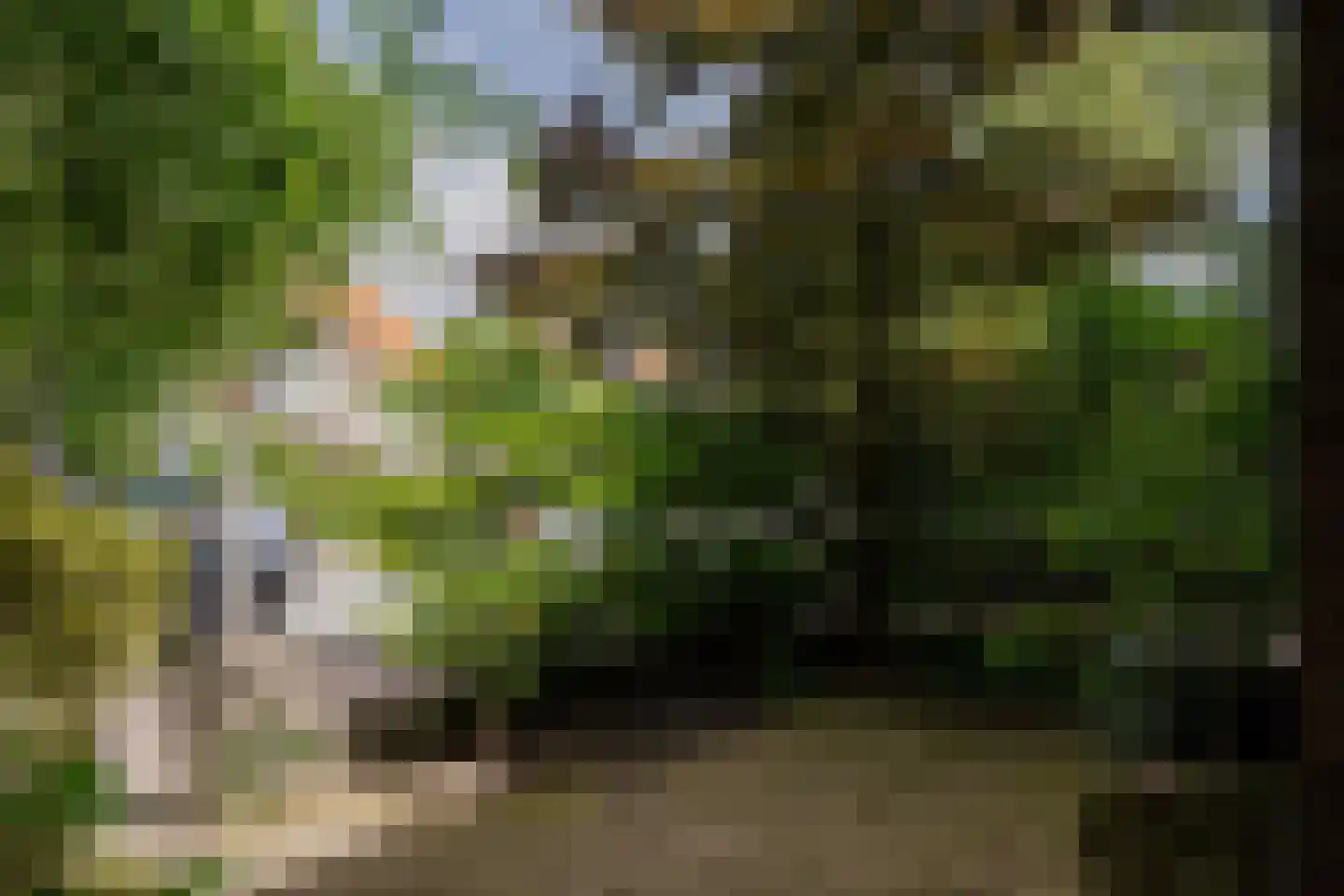 Lanckhorstlaan 73 Heemstede thumbnail 60