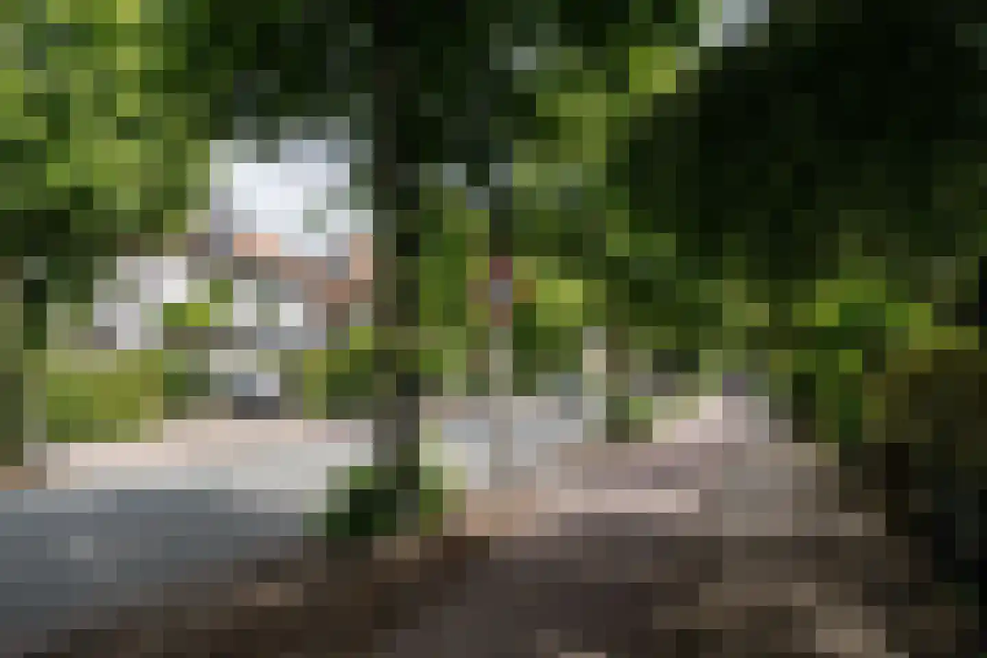 Lanckhorstlaan 73 Heemstede thumbnail 61