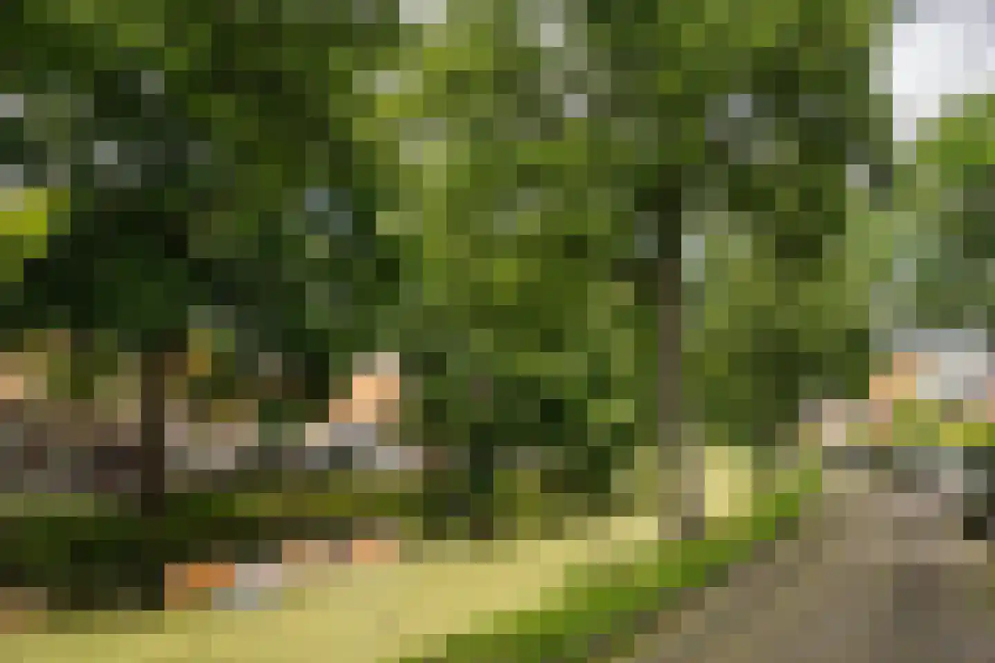 Lanckhorstlaan 73 Heemstede thumbnail 63