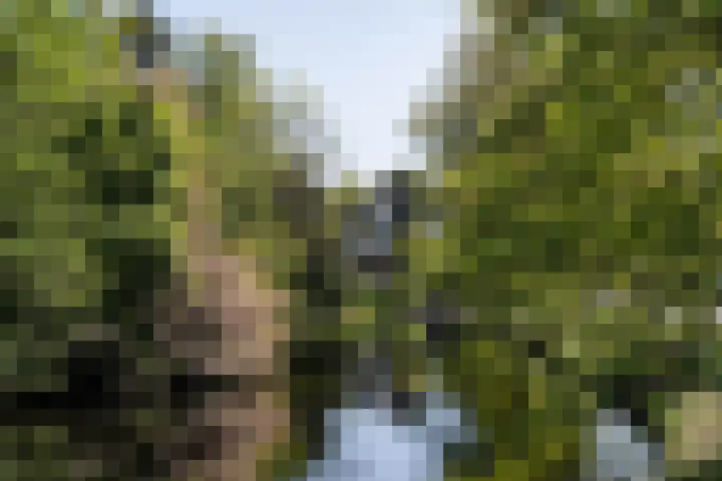 Lanckhorstlaan 73 Heemstede thumbnail 64