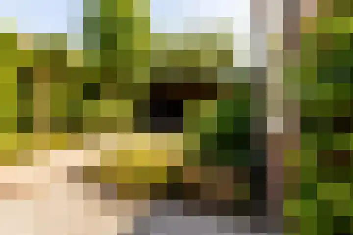 Lanckhorstlaan 89 Heemstede thumbnail 32
