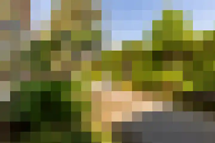 Lanckhorstlaan 89 Heemstede thumbnail 33