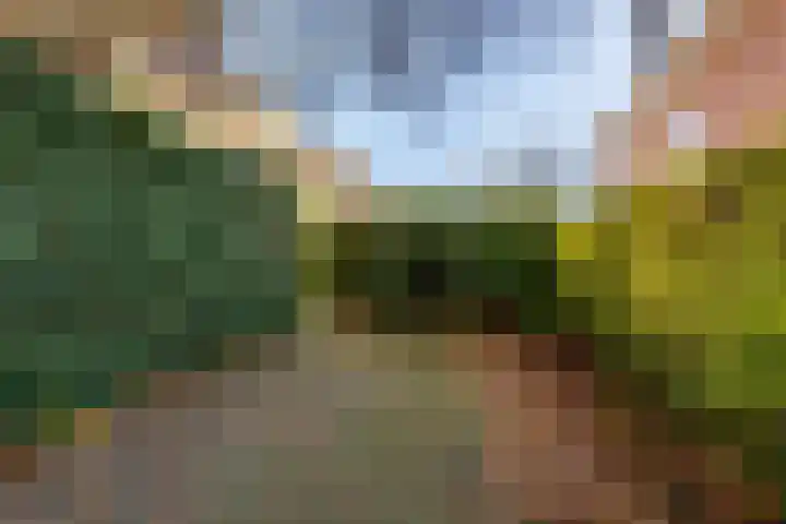 Lanckhorstlaan 93 Heemstede thumbnail 27