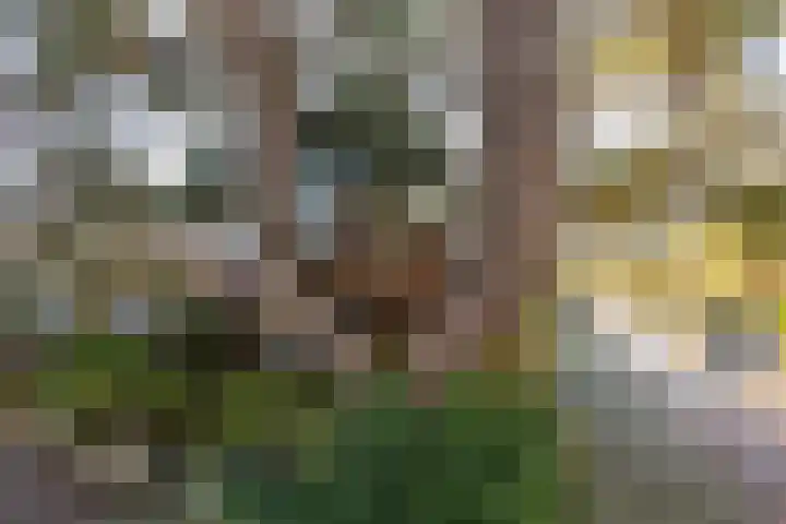 Lanckhorstlaan 93 Heemstede thumbnail 29