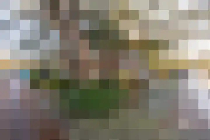 Lanckhorstlaan 93 Heemstede thumbnail 30