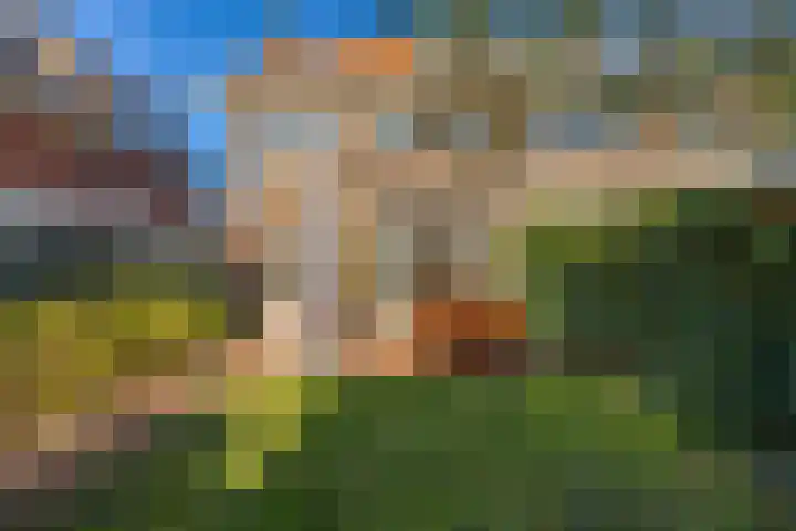 Lanckhorstlaan 99 Heemstede thumbnail 33