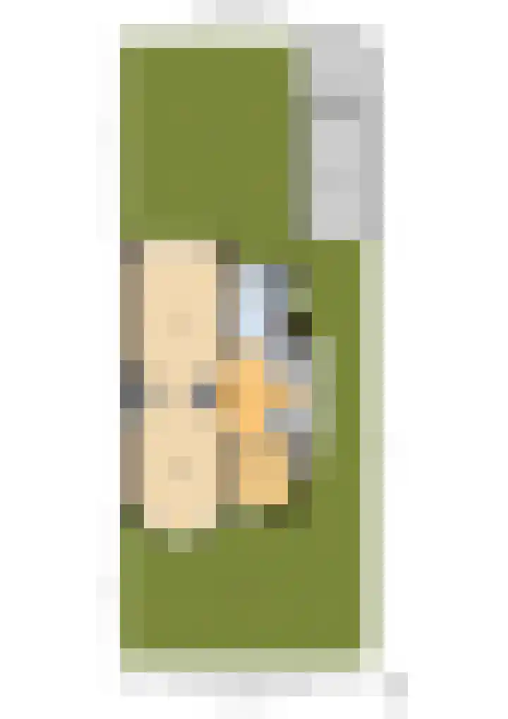 Lanckhorstlaan 99 Heemstede thumbnail 37