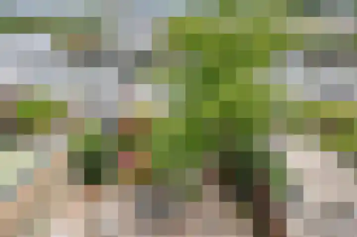 Land in Zicht 30 Almere thumbnail 36
