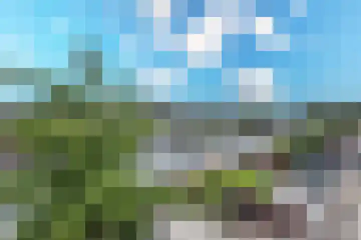 Land in Zicht 30 Almere thumbnail 37