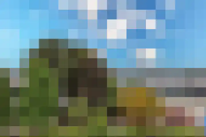 Land in Zicht 30 Almere thumbnail 38