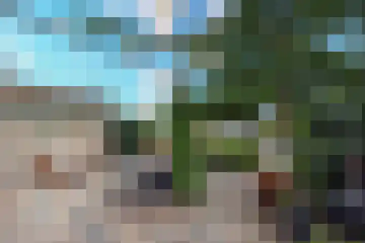 Land in Zicht 30 Almere thumbnail 45