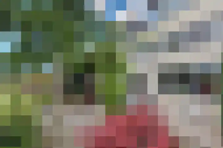 Land in Zicht 30 Almere thumbnail 47