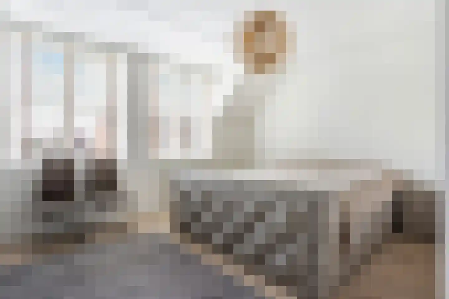 Land Kanaän 11 Zevenhuizen thumbnail 15