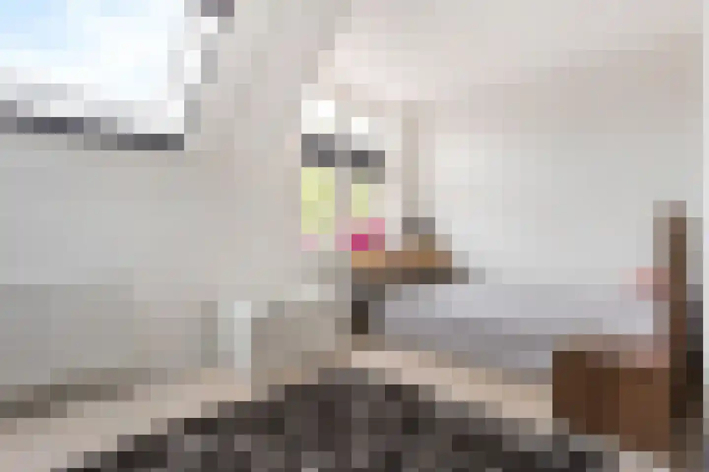 Land Kanaän 11 Zevenhuizen thumbnail 17
