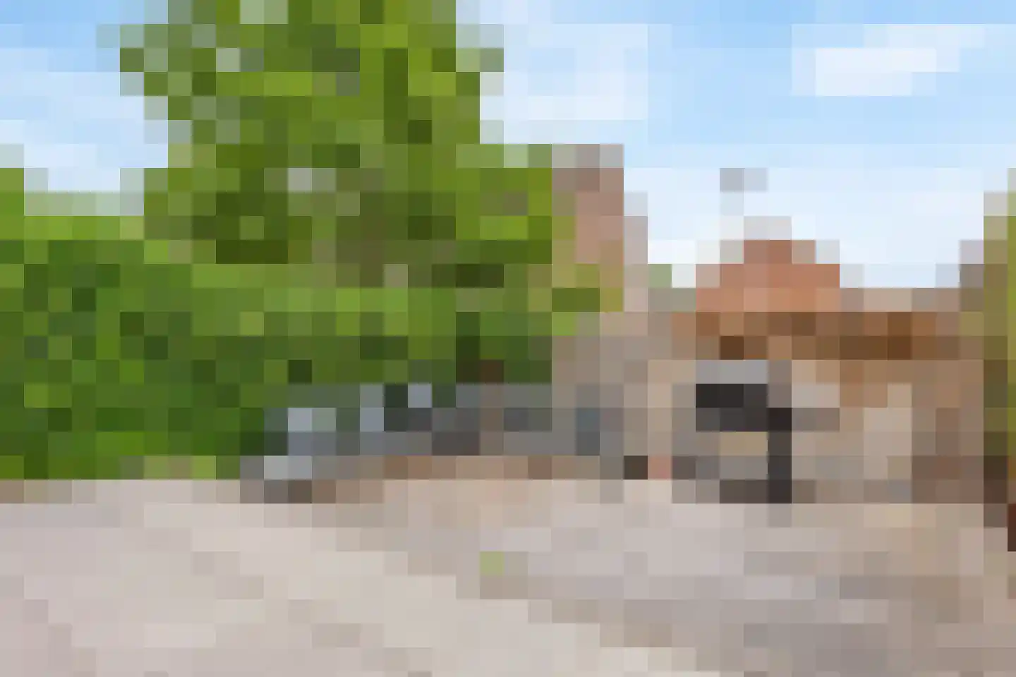 Land Kanaän 11 Zevenhuizen thumbnail 32