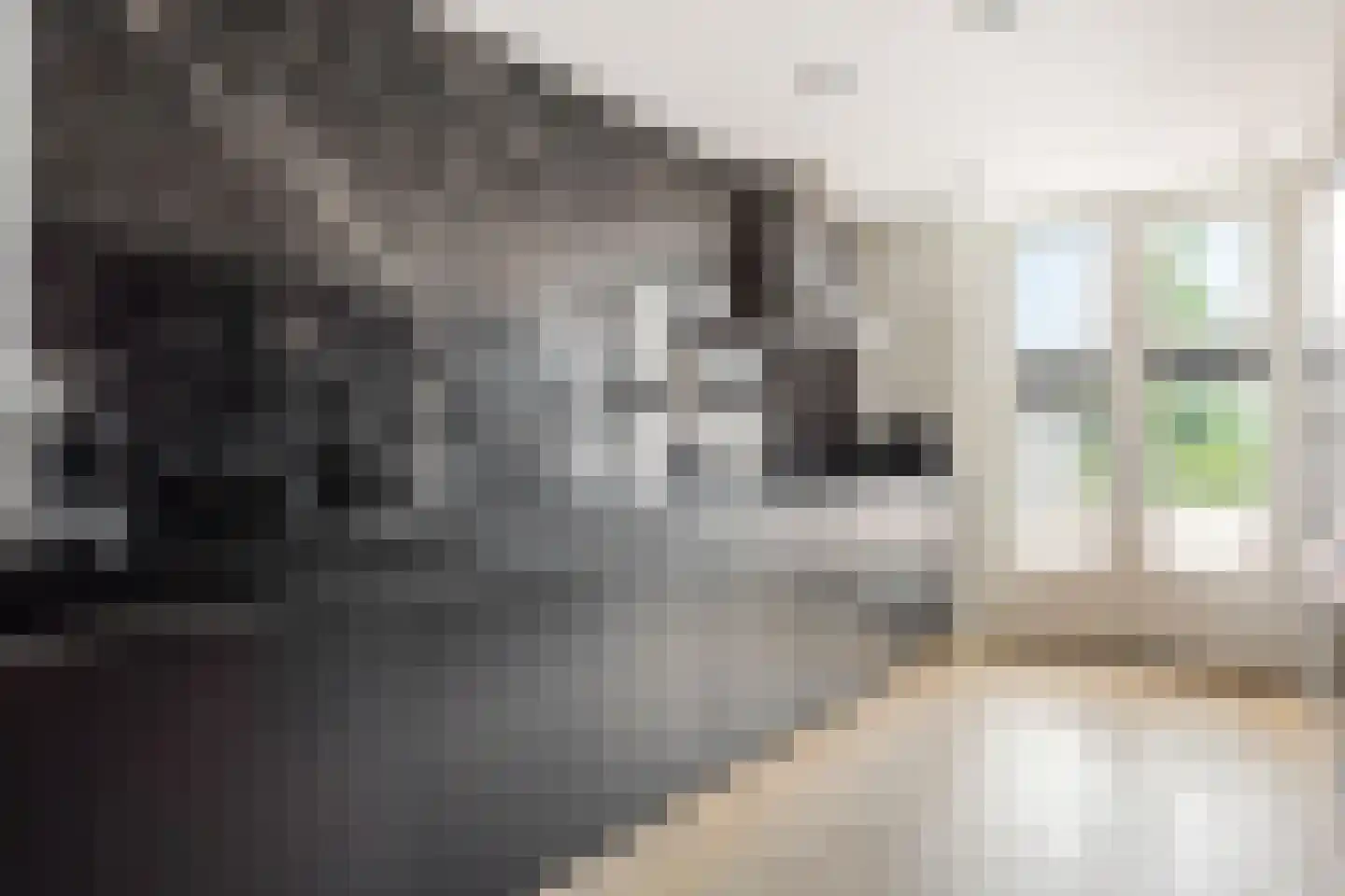 Land Kanaän 11 Zevenhuizen thumbnail 4